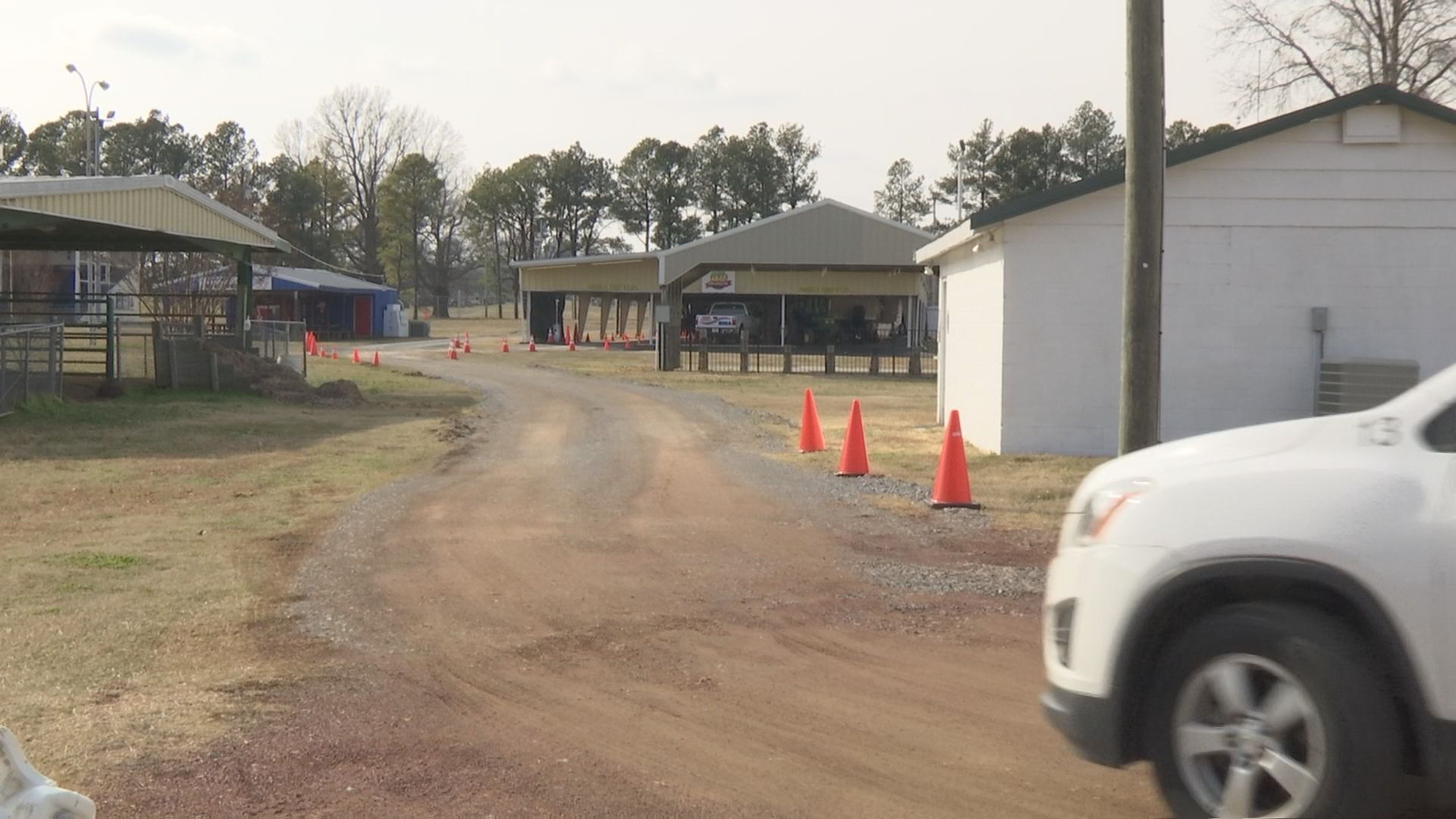 obion co fairgrounds vaccination 3.jpg